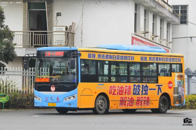 800BUS