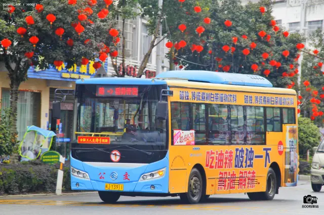 800BUS