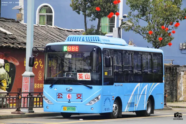 800BUS