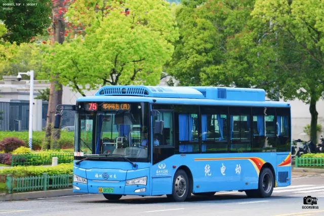 800BUS