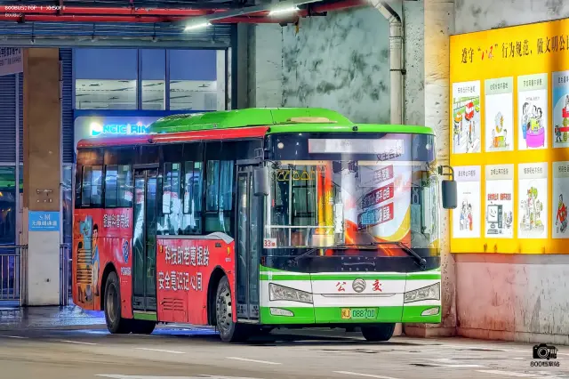 800BUS