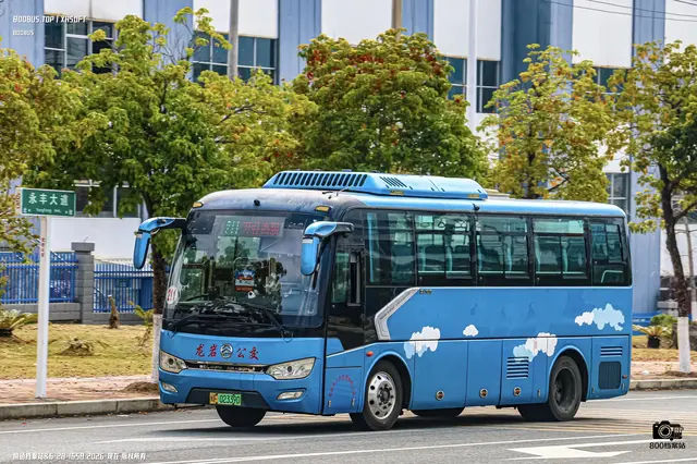 800BUS