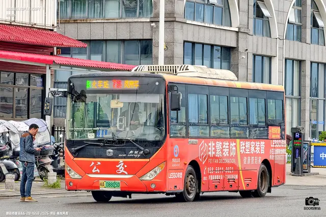 800BUS