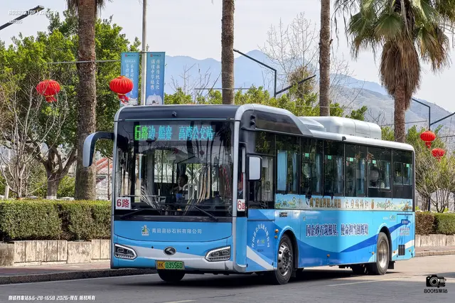 800BUS