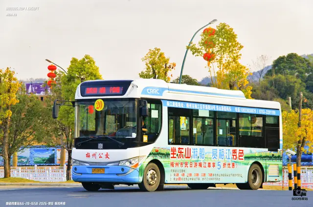 粤M 08579