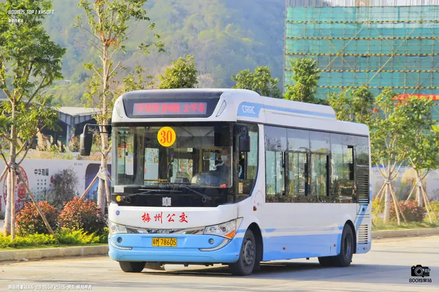 粤M 78605