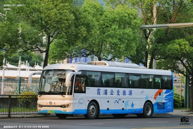 闽J 08786D
