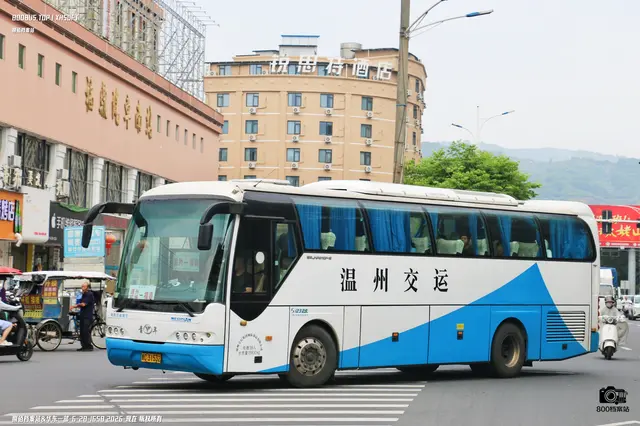 浙C 31532