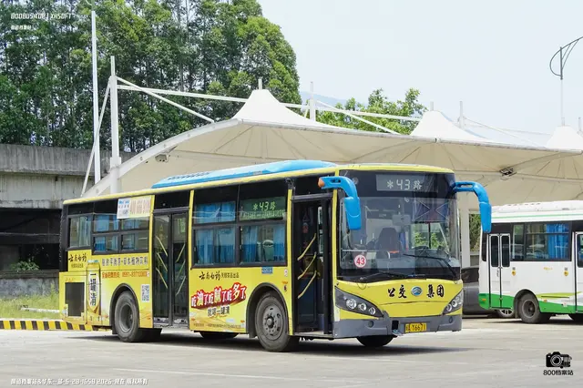 闽A Y6671