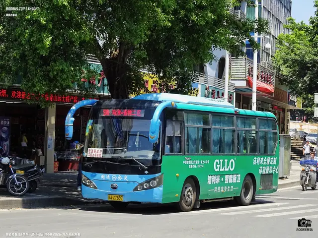 闽A Z7897