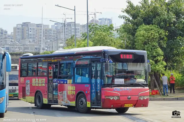 闽A Y8796