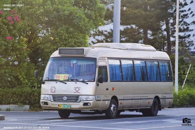 闽E 06126D