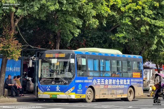 闽A 06196D