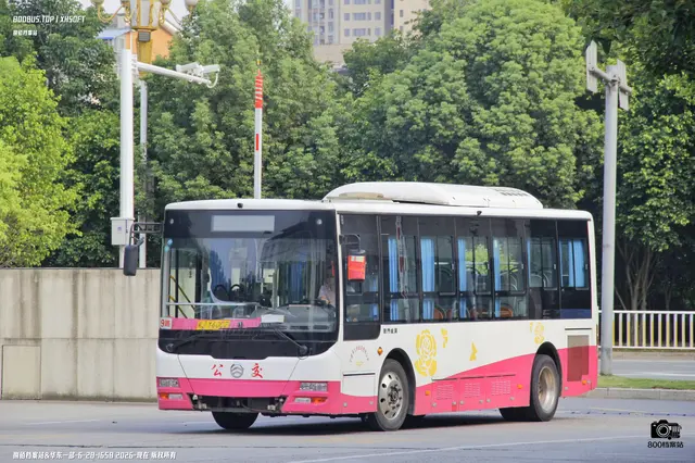 闽J Y6002