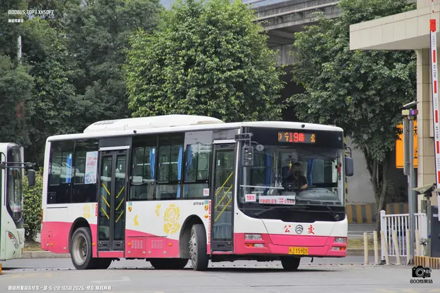 闽J Y5905