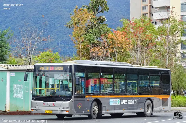 闽J Y2969
