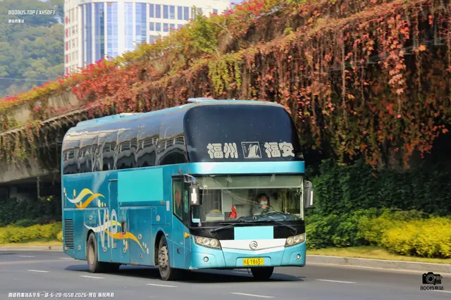闽A Y8651