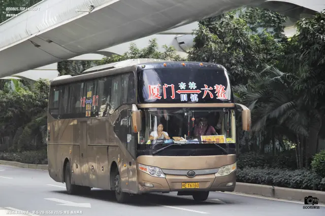 闽E Y6160