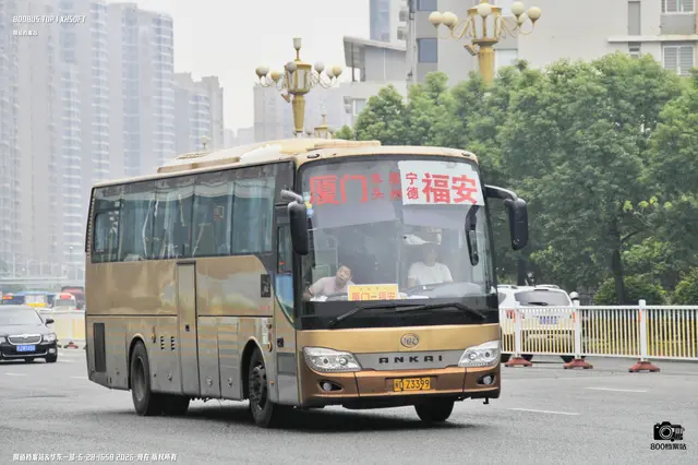 闽D Z3399