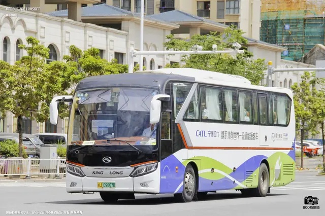 800BUS