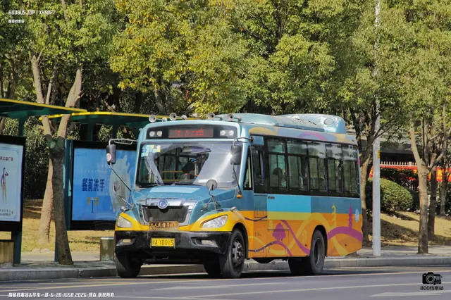 800BUS
