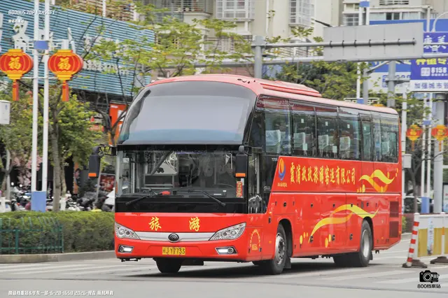 800BUS