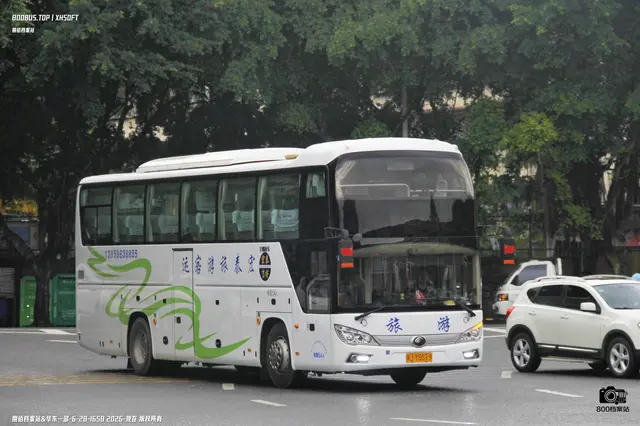800BUS