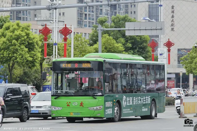 800BUS
