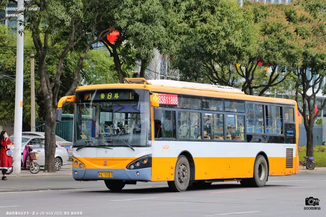 800BUS