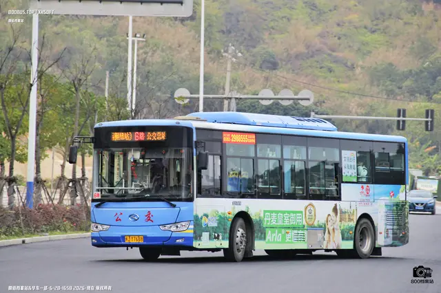 800BUS