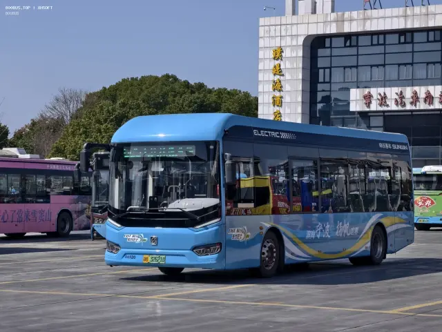 800BUS
