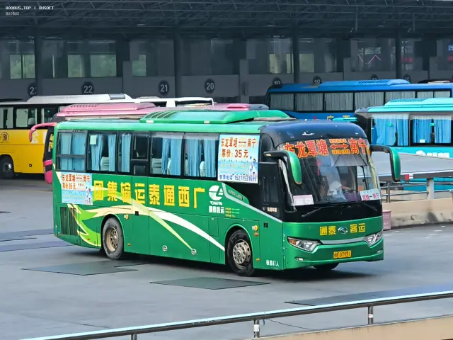 800BUS