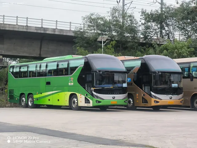 桂ABJ253