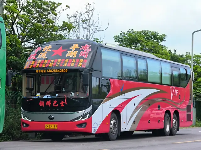 800BUS