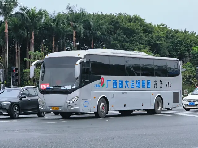 800BUS