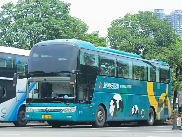 800BUS