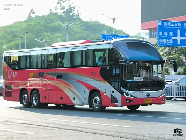 桂M 05553