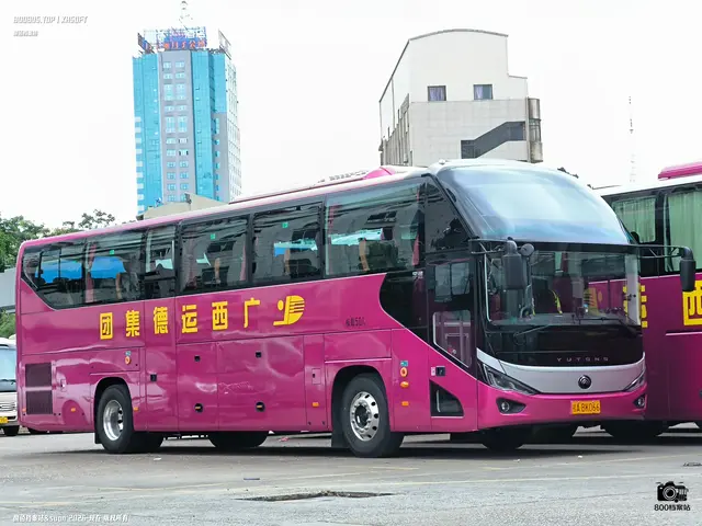桂A BK066