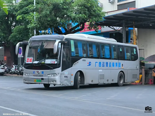 桂A 12359D