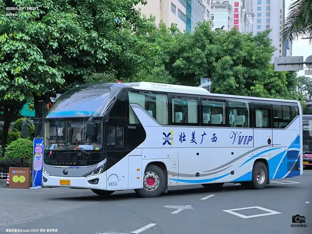 桂A V0189