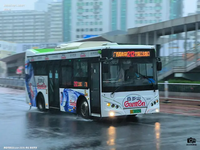 桂A 08529D
