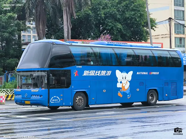 桂G A5986