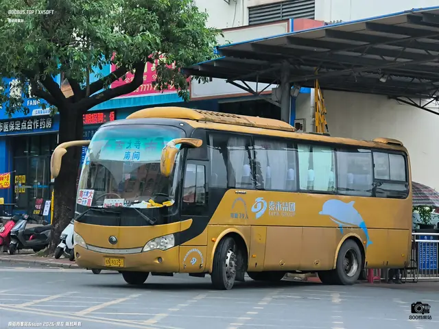 桂N 80251