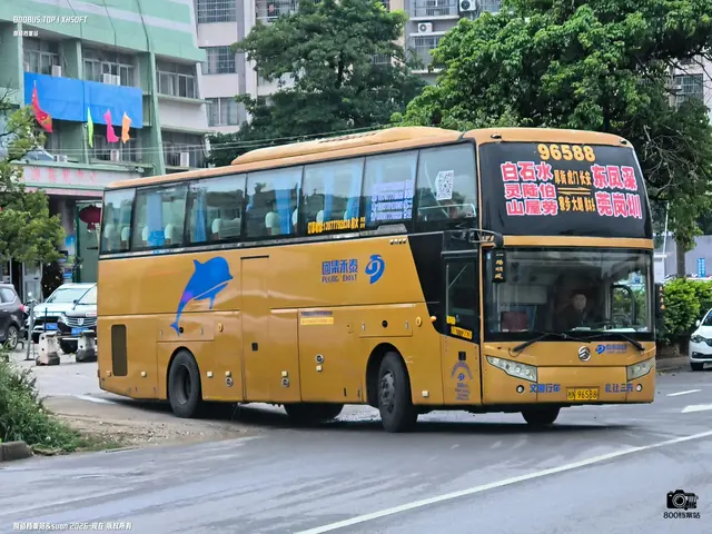 桂N 96588