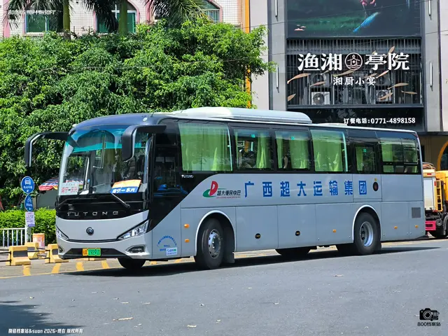 桂A 19291D