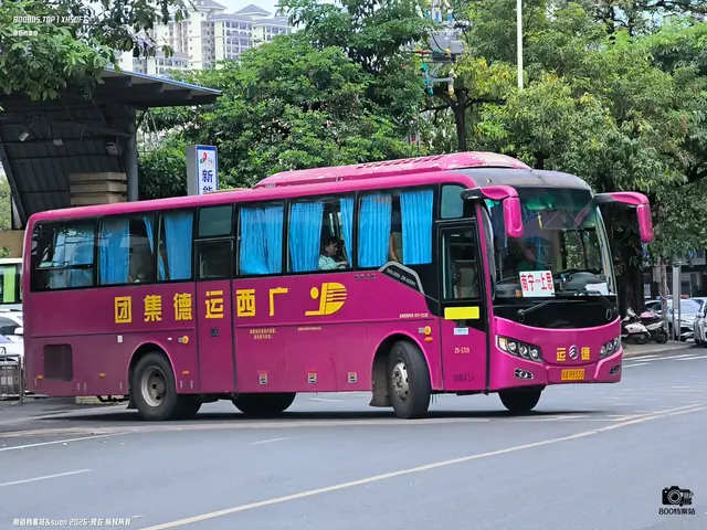 桂A P8338