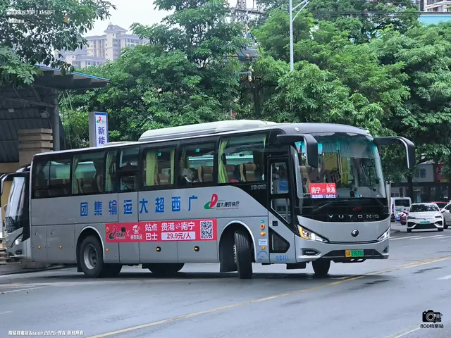 桂A 19637D