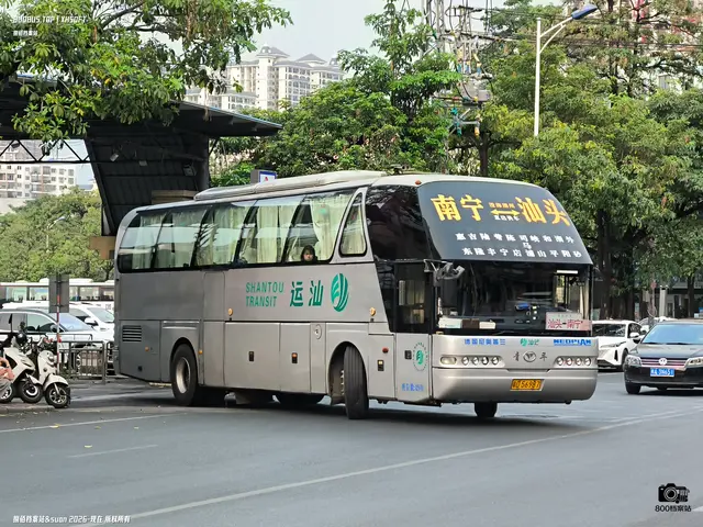 粤D 56987