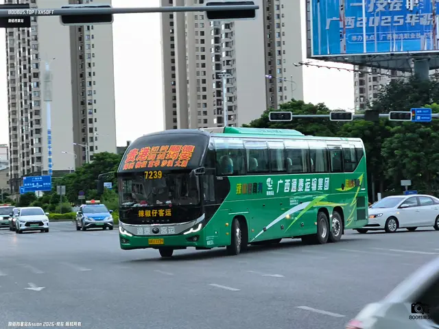 800BUS