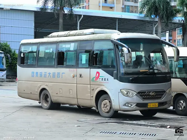 800BUS